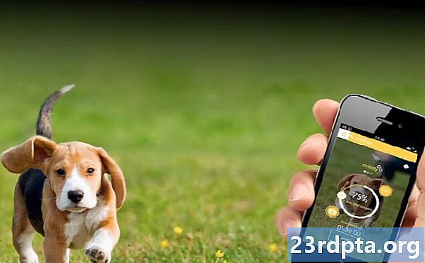 ¡Las 10 mejores aplicaciones para perros para Android!