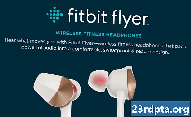 Fitbit Flyer apskats